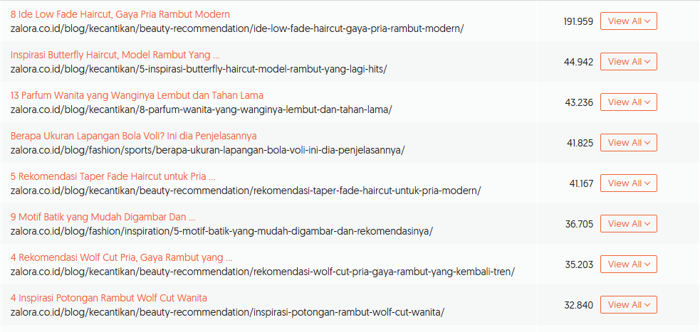Contoh trafik blog marketplace Zalora
